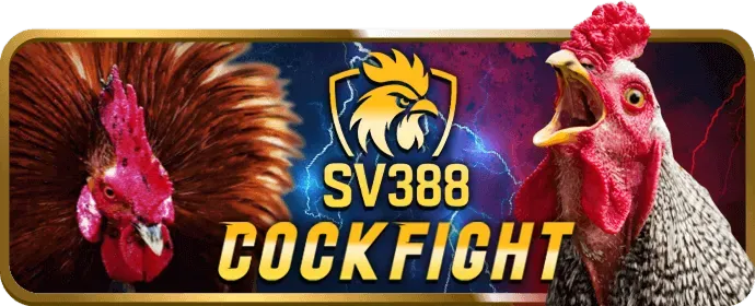 Tối ưu trải nghiệm người dùng 88bet9z